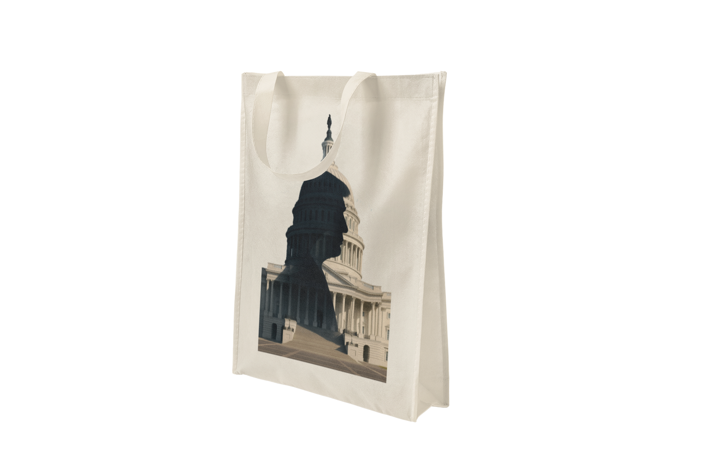 Capitol Shadow Tote